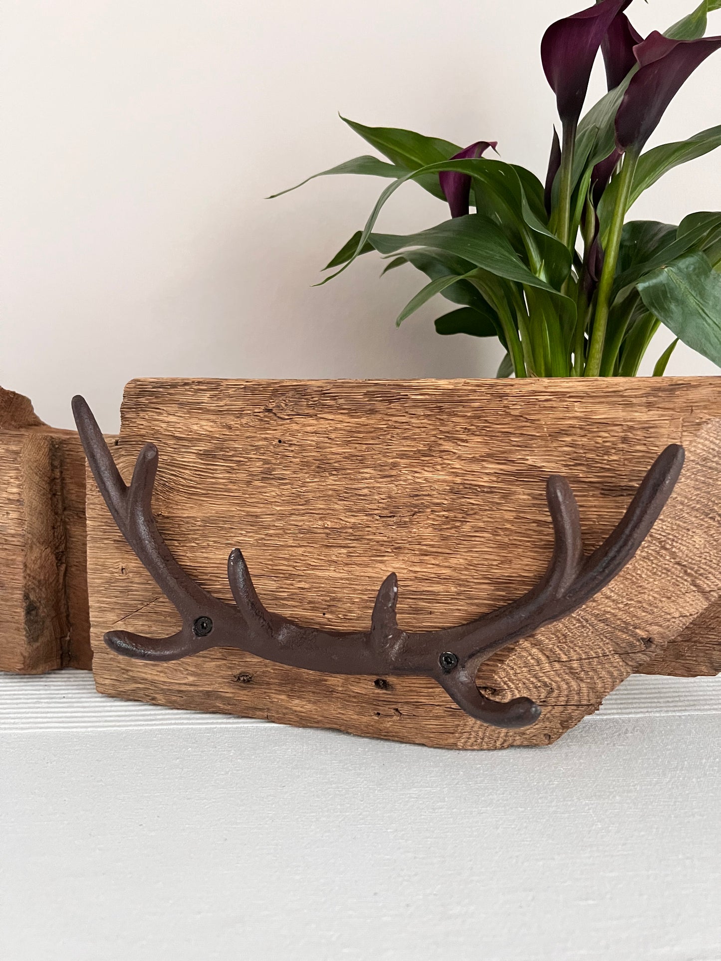 Dekoobjekt Garderobe Hirschgeweih aus gebürstetem Eichenholz