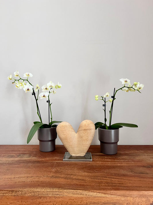 Herz aus geschliffenem Eichenholz auf Metallständer