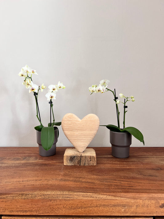 Herz aus geschliffenem Eichenholz auf Holzständer