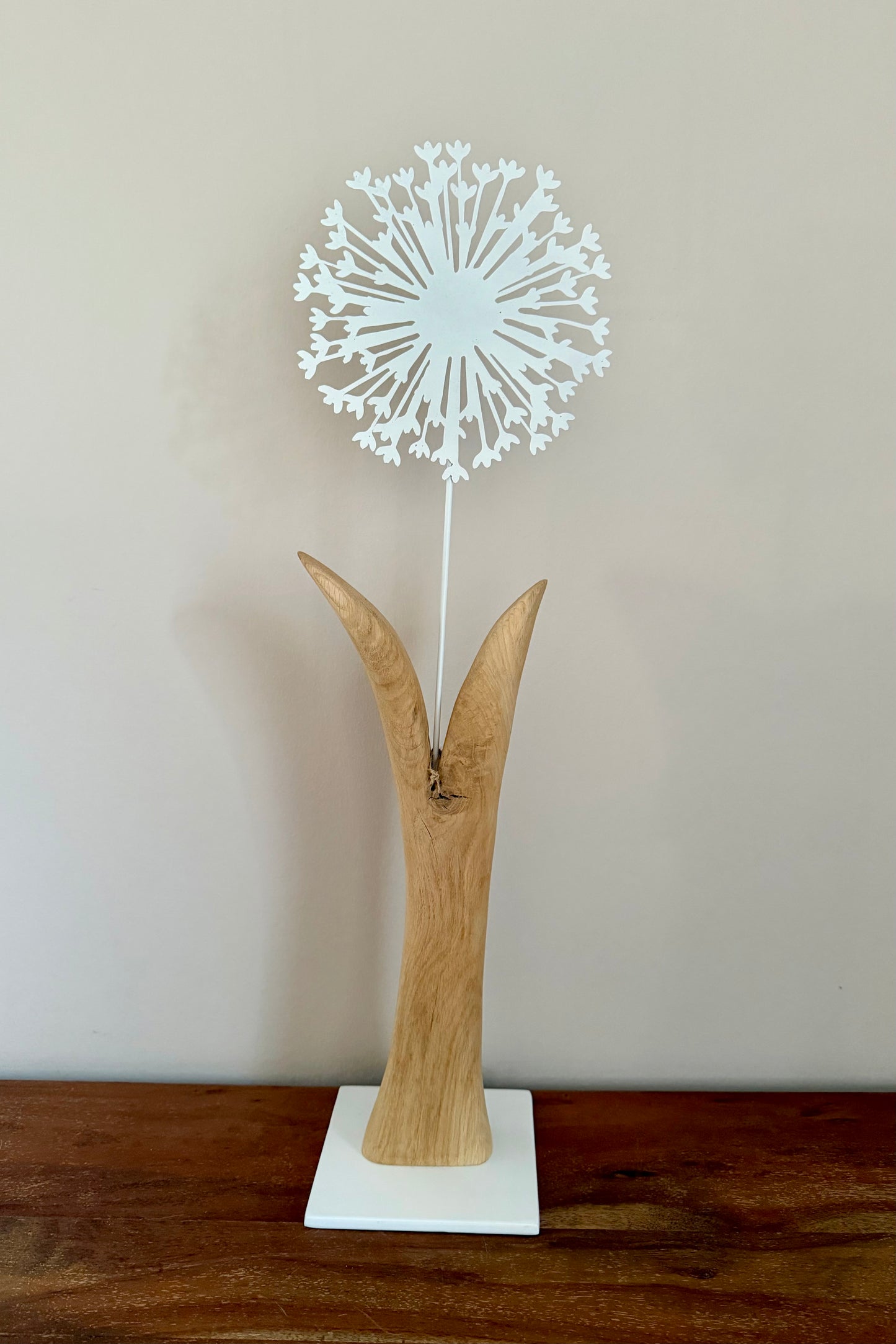 Metallpusteblume weiß auf geschliffenem Eichenholz 0980