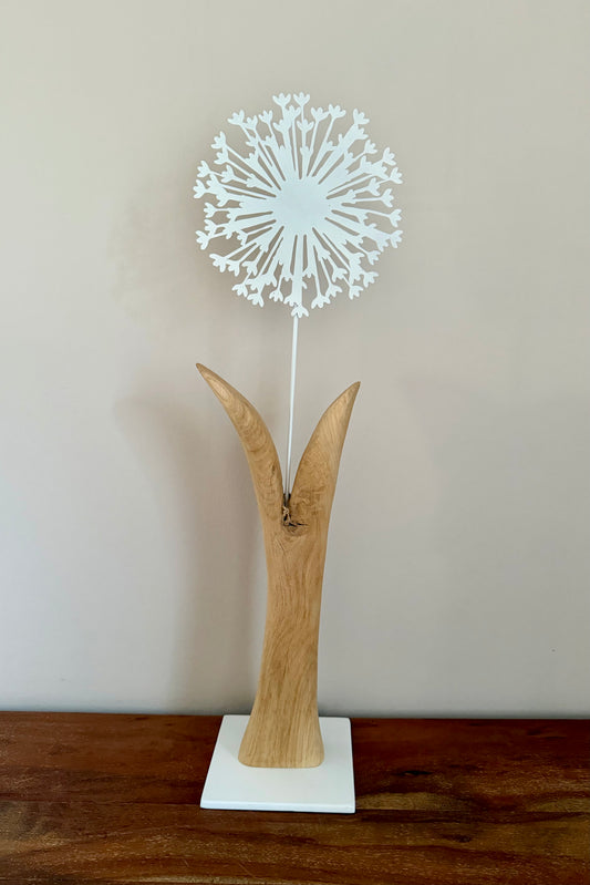 Metallpusteblume weiß auf geschliffenem Eichenholz 0980