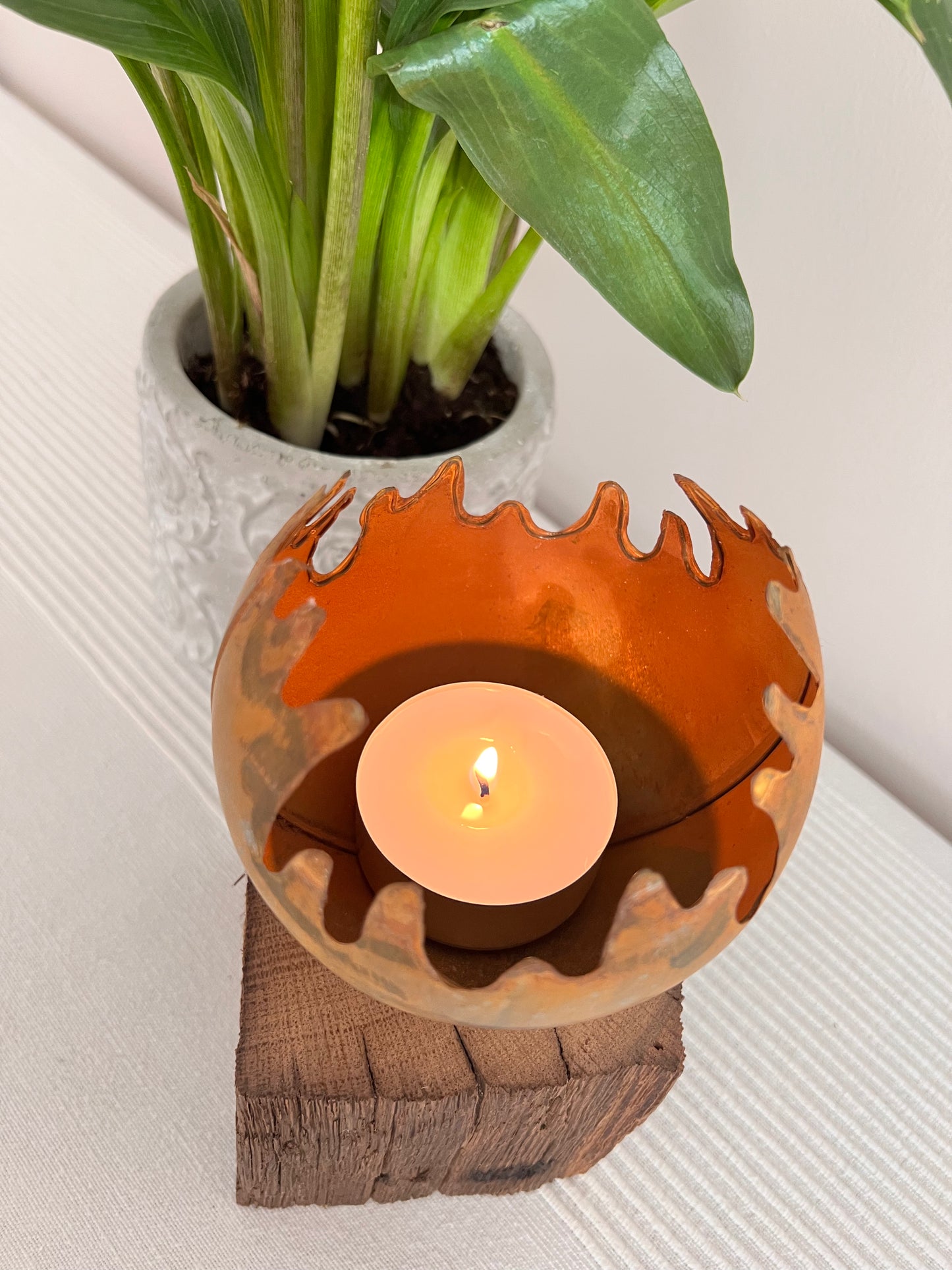 Lichtschale auf gebürstetem Eichenholz