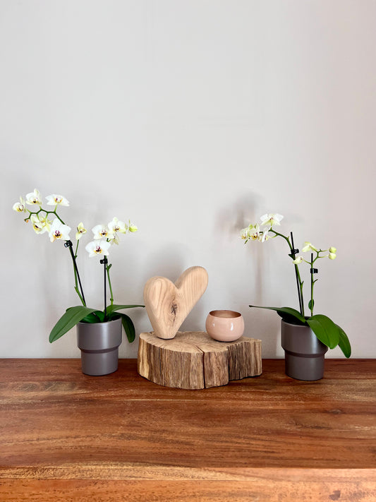 Lichtschale auf gebürstetem Eichenholz mit geschliffenem Holzherz und Lichtschale