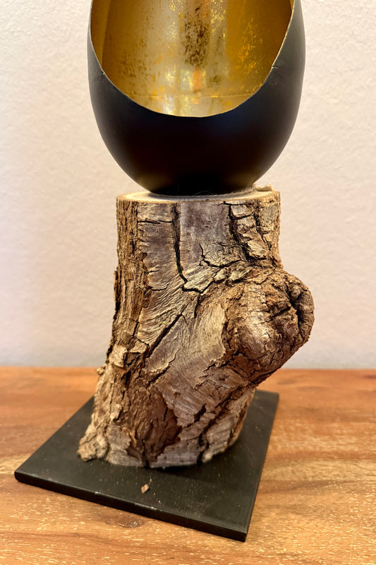 Goldei klein auf Holzstamm gebürstet 1324