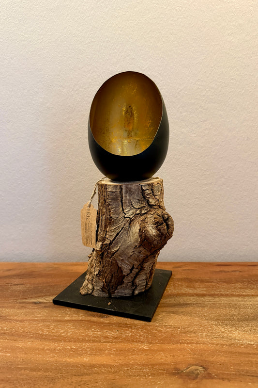 Goldei klein auf Holzstamm gebürstet 1324