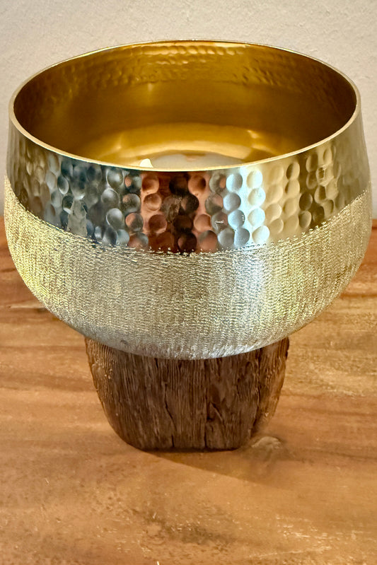 Goldschale auf Holzstamm gebürstet 531