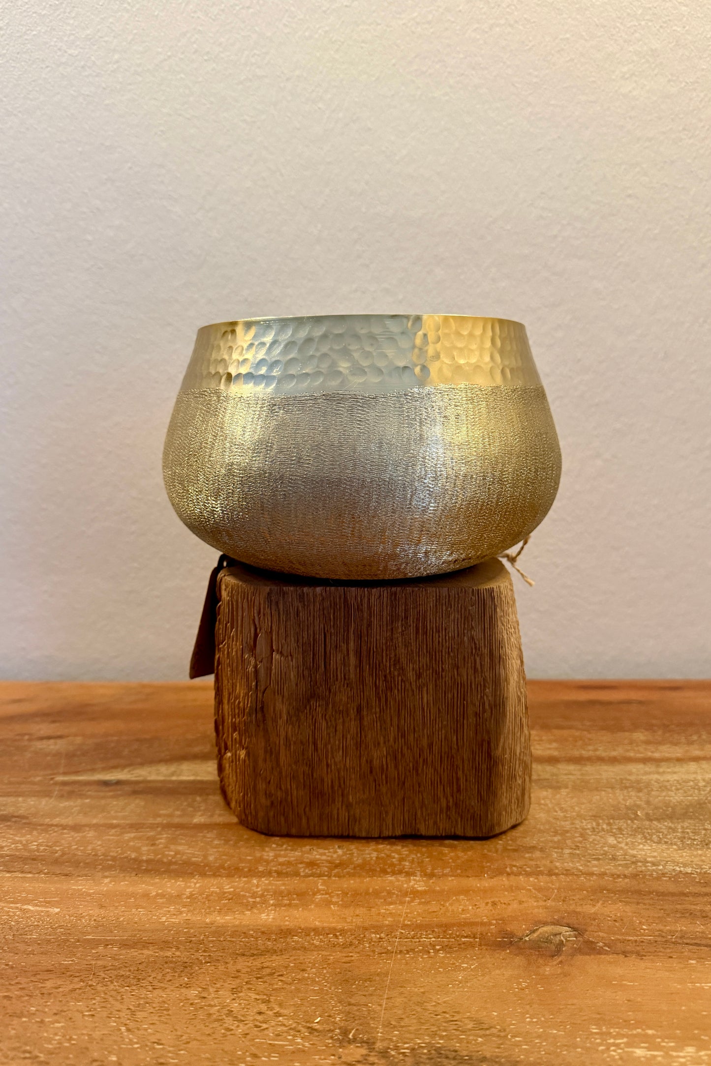 Goldschale auf Holzstamm gebürstet 531