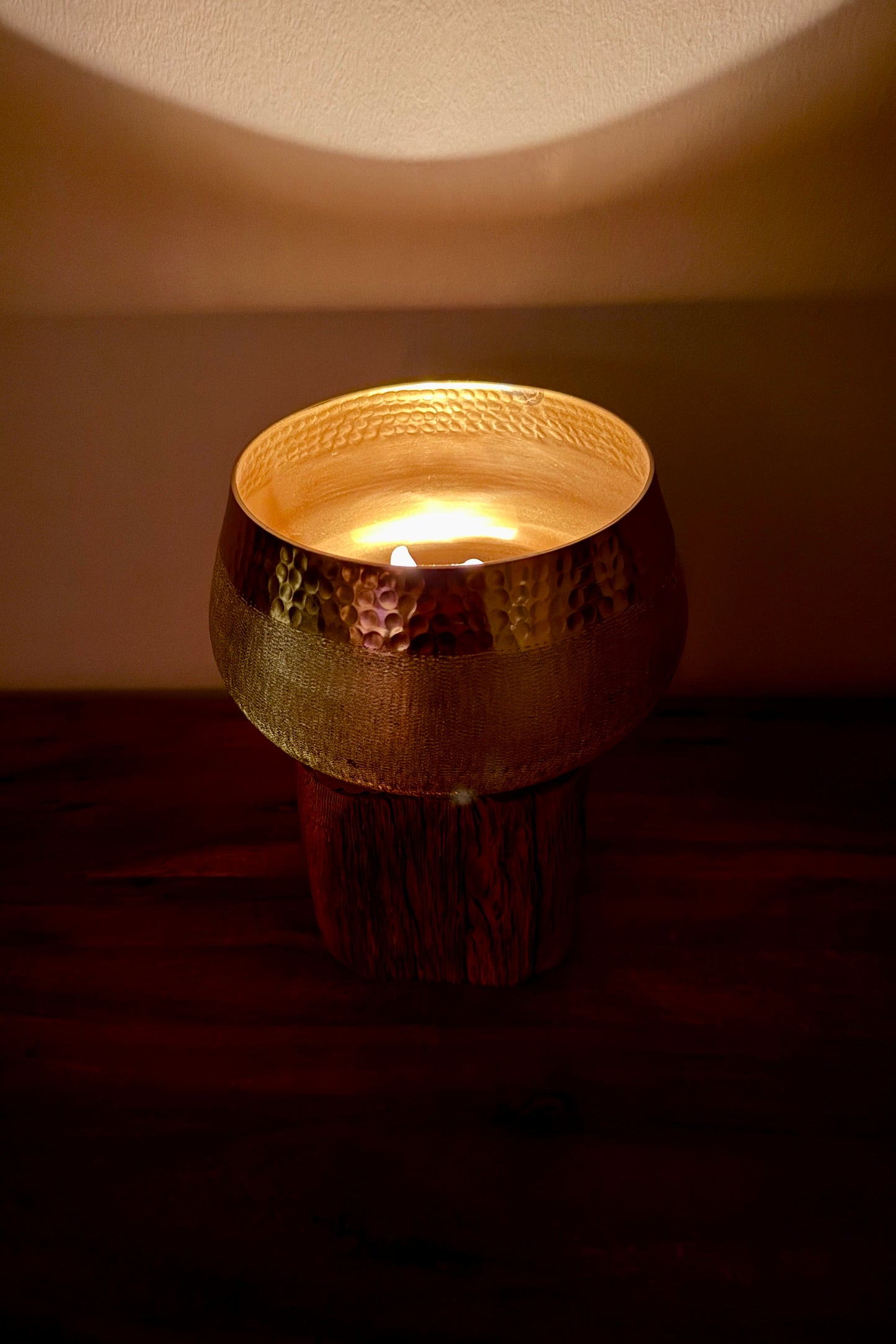 Goldschale auf Holzstamm gebürstet 531